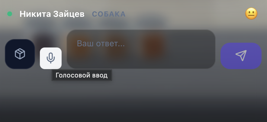 Чат с покупателем: поле ввода, отправка, голос, доступ к складу